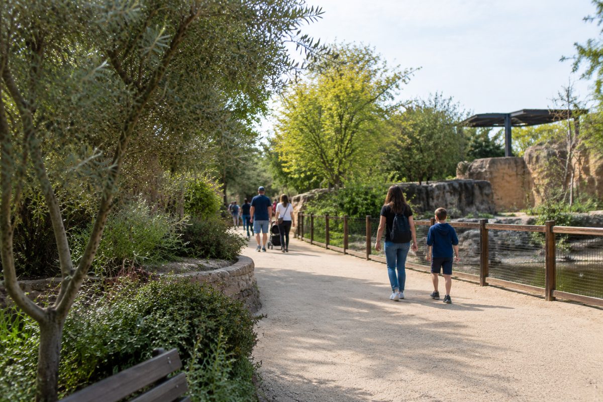 Visitors walking along a tree-lined zoo path