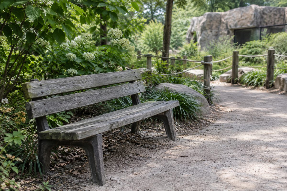 Timber bench beside a planted walkway
